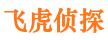 北仑市调查公司